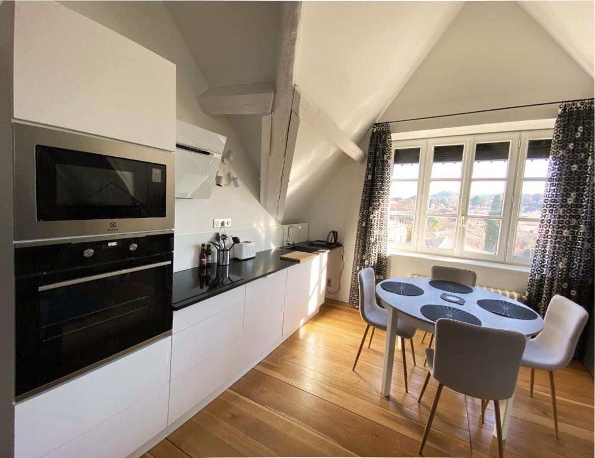 Demeure Saint Louis Historic Manor, City 700M, Parking,A C,Clim,Wifi, Heated Pool, City View Carcassonne